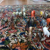 ۴۰ عدد اسباببازی حیوانات با قیمت باور نکردنی|اسباببازی|شاهینشهر, عطار|دیوار