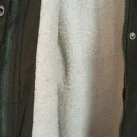 پالتو|لباس|زارچ, |دیوار