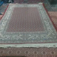 روستاکفاز|فرش|سرایان, |دیوار