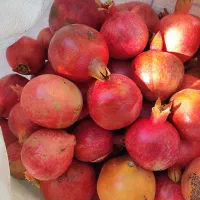 انار ربی|حراج|مهریز, |دیوار