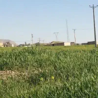 تجاری