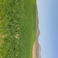 زمین کشاورزی|فروش زمین و ملک کلنگی|کاکاوند, |دیوار