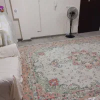 فرش ۱۲ متری در حد نو