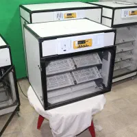 دستگاه جوجه کشی هواباتور +ارسال مستقیم از کارخانه|لوازم جانبی حیوانات|سمنان, |دیوار