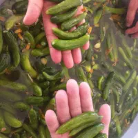 خیار شور سرکه نمکی