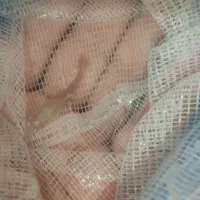 ماهی|ماهی|اردبیل, |دیوار