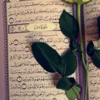 ۳۵درصد تخفیف تدریس در منزل|خدمات آموزشی|مشهد, یوسفیه (شهرک غرب)|دیوار