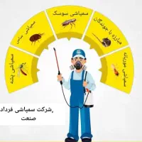 سم پاشی با مجوز رسمی|خدمات نظافت|قم, حنیف نژاد|دیوار