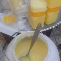 عسل زنبور عسل طبیعی کوهستان روغن حیوانی پنیر کوزه|خوردنی و آشامیدنی|تهران, آرژانتین|دیوار