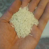 برنج صدری هاشمی گیلان
