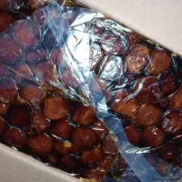 خرمای کبکاب و خاصویی درجه یک|خوردنی و آشامیدنی|جهرم, |دیوار