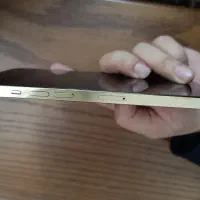 آیفون ۱۲ پرو مکس|موبایل|تهران, شهرک دریا|دیوار