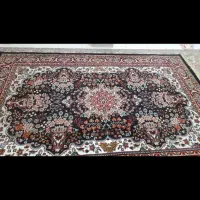 فرش ۶ متری|فرش|تهران, شهادت|دیوار