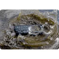 کت B26 اصل آکبند ریجستر ضدضربه و ضدآب واقعی