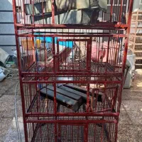 قفسه مرغ