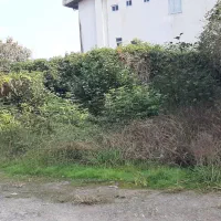 فروش زمین در رشت ، احمدگوراب|فروش زمین و ملک کلنگی|رشت, احمد گوراب|دیوار