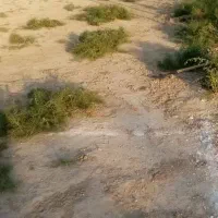 زمین مسکونی