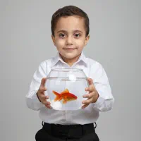 عکس|تابلو، نقاشی، عکس|رشت, منظریه|دیوار