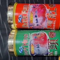 ماهی فلاورن هورن +غذا اوشن فری|ماهی|شیراز, سهل‌آباد|دیوار