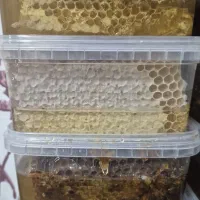 محصولات زنبور ولاش