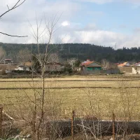 بجاری-در-بهترین-منطقه-سراوان