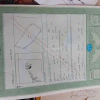 زمین کشاورزی ۲/۵ هکتار