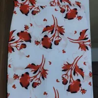 بلوز دامن رنگ قرمز|لباس|مشهد, آبادگران|دیوار