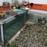 ۲ عدد آکواریوم 10 میل بزرگ