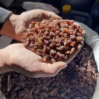 کشمش.مویز.شیره.خمیرخرما