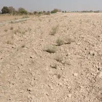 زمین دوربر تفکیک شده|فروش دفتر صنعتی، کشاورزی، تجاری|پاکدشت, پاکدشت (مامازند)|دیوار