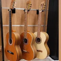 گیتار پارسی