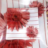 دیس و پیش دستی