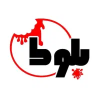 سالن کار و کانتر کار