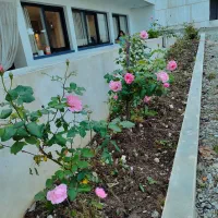 شرکت نظافتچی استا