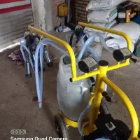 شیر دوش|لوازم جانبی حیوانات|مهربان, |دیوار