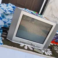 تلوزیون۲۱ سونیسالم  ببه شرط