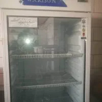 یخچال|فروشگاه و مغازه|فسا, |دیوار