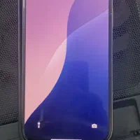 گلستان خیابان شیراز