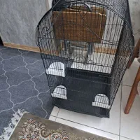 قفس|لوازم جانبی حیوانات|بهارستان, |دیوار