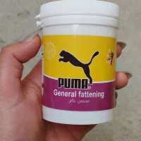 عسل پوماضمانتی چاق کننده