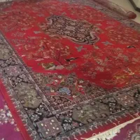 فرش|فرش|فشاپویه, |دیوار