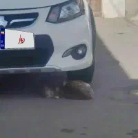 ساینا s ۴۰۴