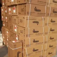 ابگرمکن دیواری ریگلاتور برنج۳۱۱۵ بوتان درطرح تعویض