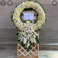 گلفروشی پاراگل|گل و گیاه طبیعی|اهواز, پادادشهر|دیوار