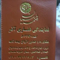 کیف پول گم شده