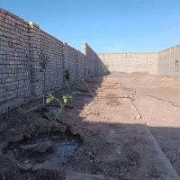 چهار-دیواری-270متری-خیابان-پدیده-کوچه-امیرکبیر