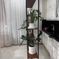 استند آهنی|کتابخانه، شلف، قفسه‌های دیواری|تربت‌حیدریه, سیلوی گندم|دیوار