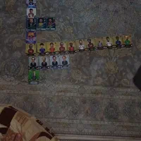 همه ی کیمدی ها بخرید قیمت مقطوع