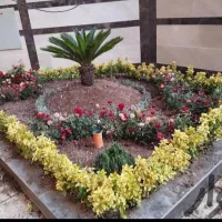 باغبانی  کود باغچه  سم پاشی  خاک کلدون