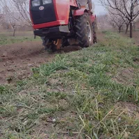 شخم زنی باغات با تراکتور باغی